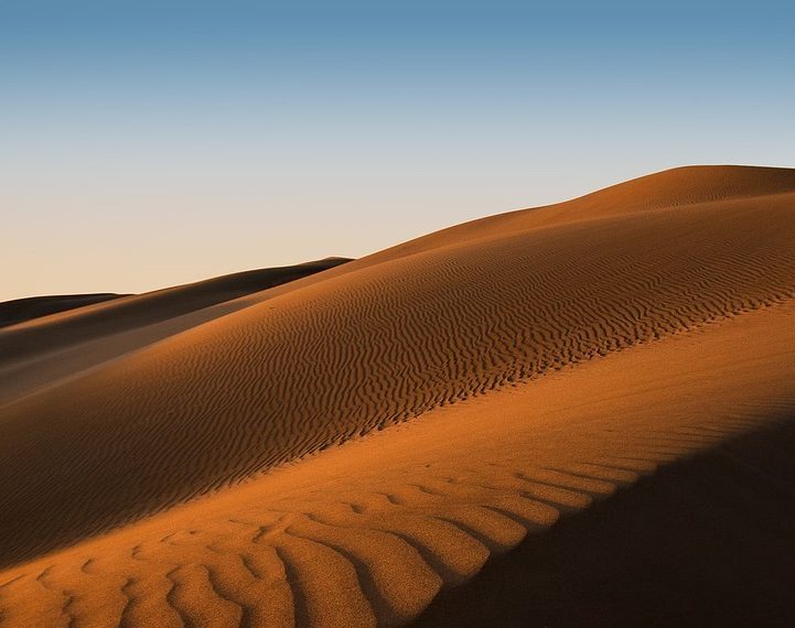 Grass Roots of DUNE: The Ecological Origins
